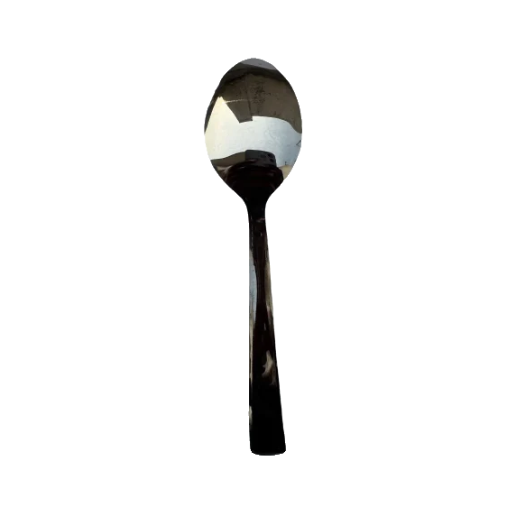 Stainless Steel Oval Spoon