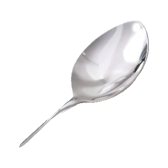 Stainless Steel Serving Spoon